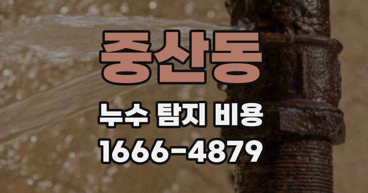중산동 누수 탐지 비용