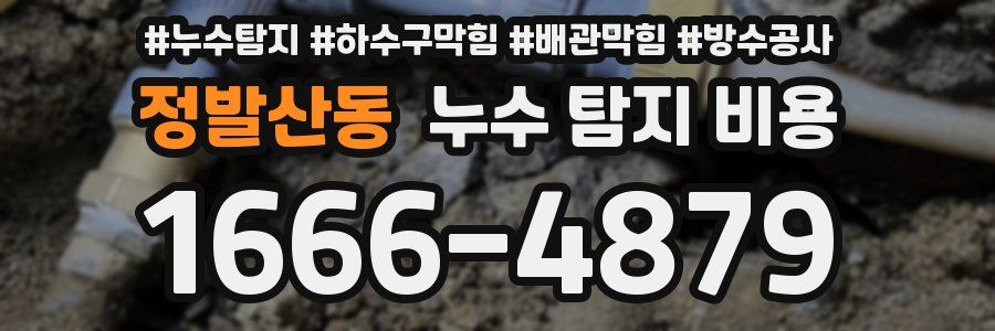 정발산동 누수 탐지 비용