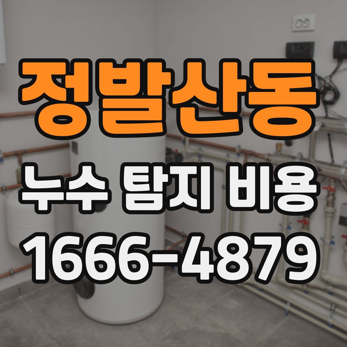 정발산동 누수 탐지 비용