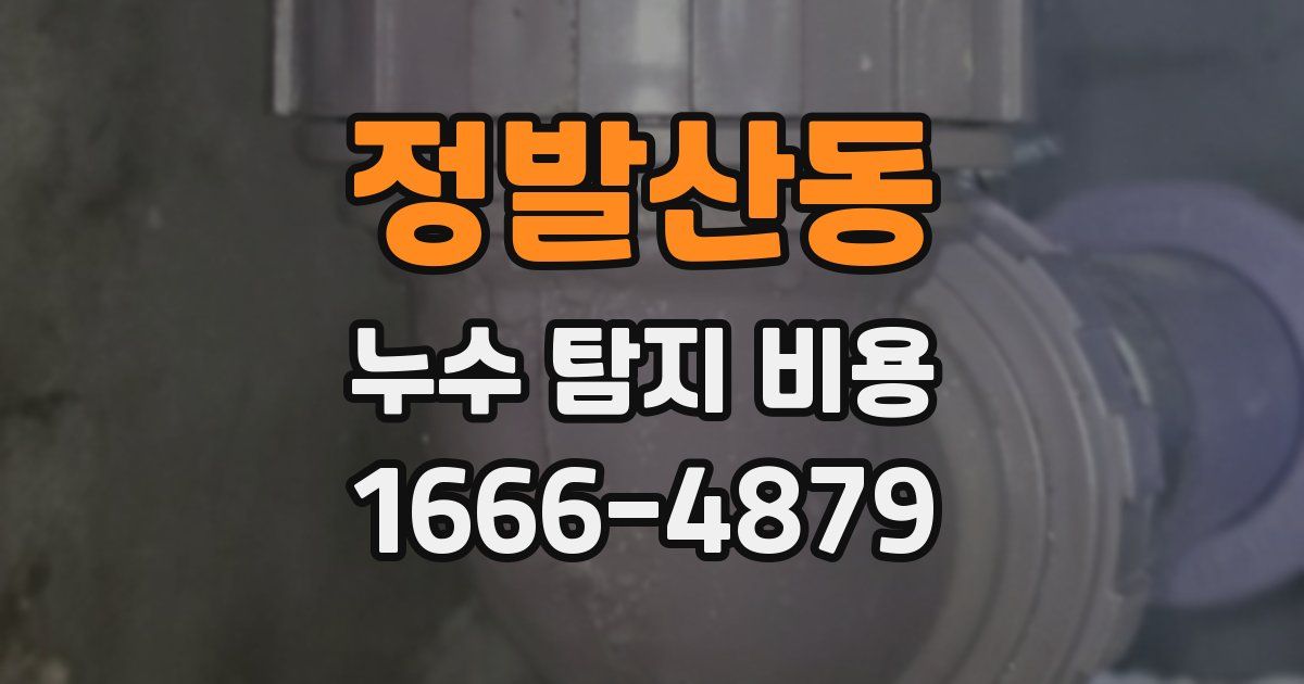 정발산동 누수 탐지 비용