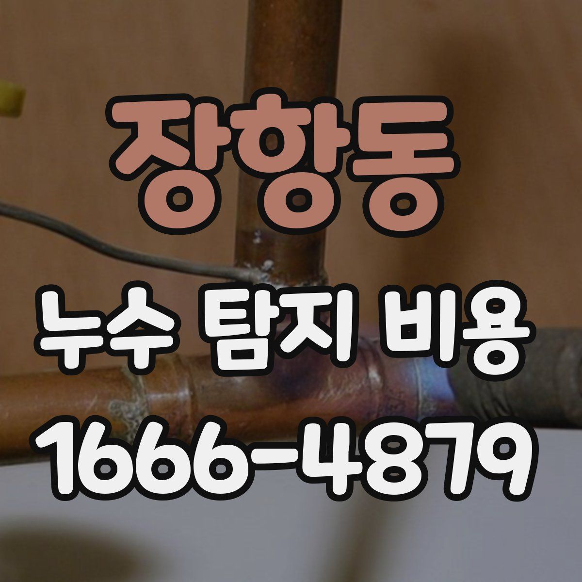 장항동 누수 탐지 비용