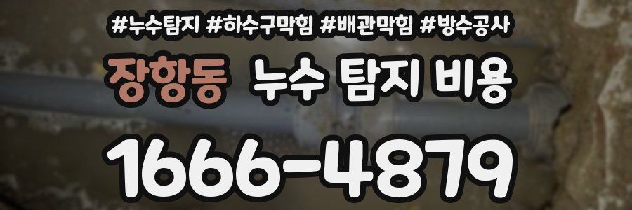 장항동 누수 탐지 비용