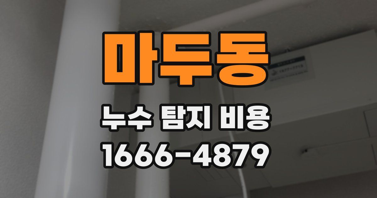 마두동 누수 탐지 비용