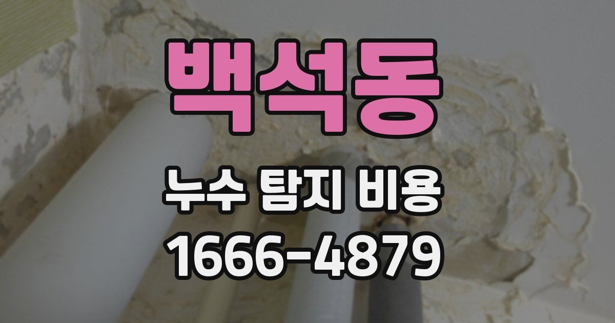 백석동 누수 탐지 비용