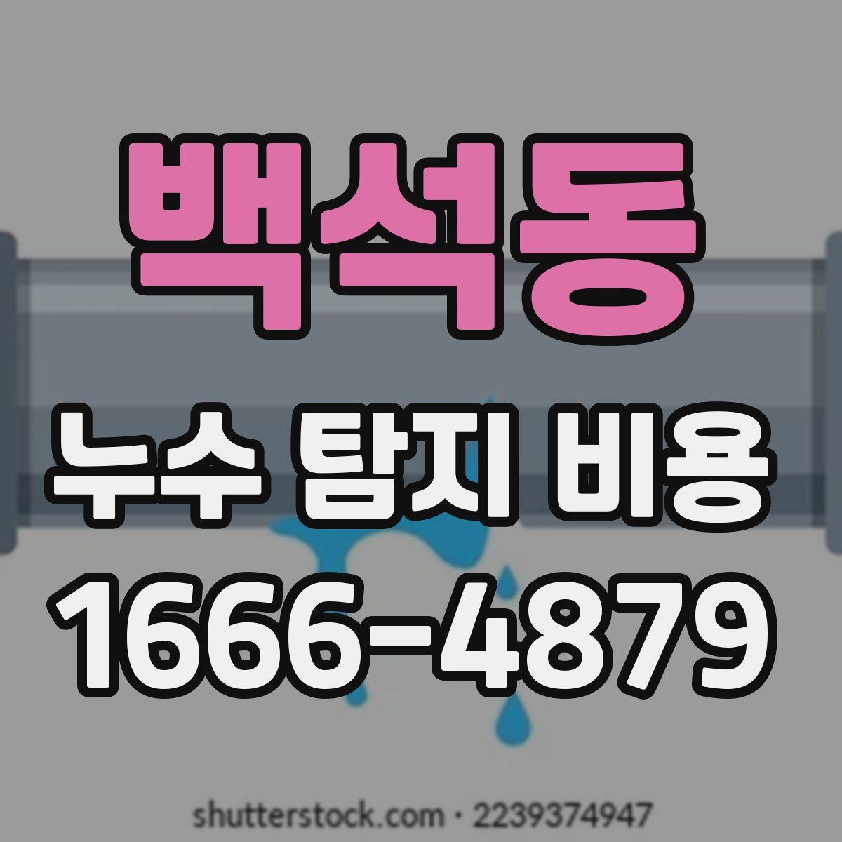 백석동 누수 탐지 비용