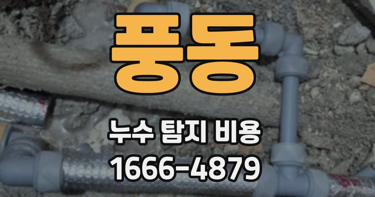 풍동 누수 탐지 비용