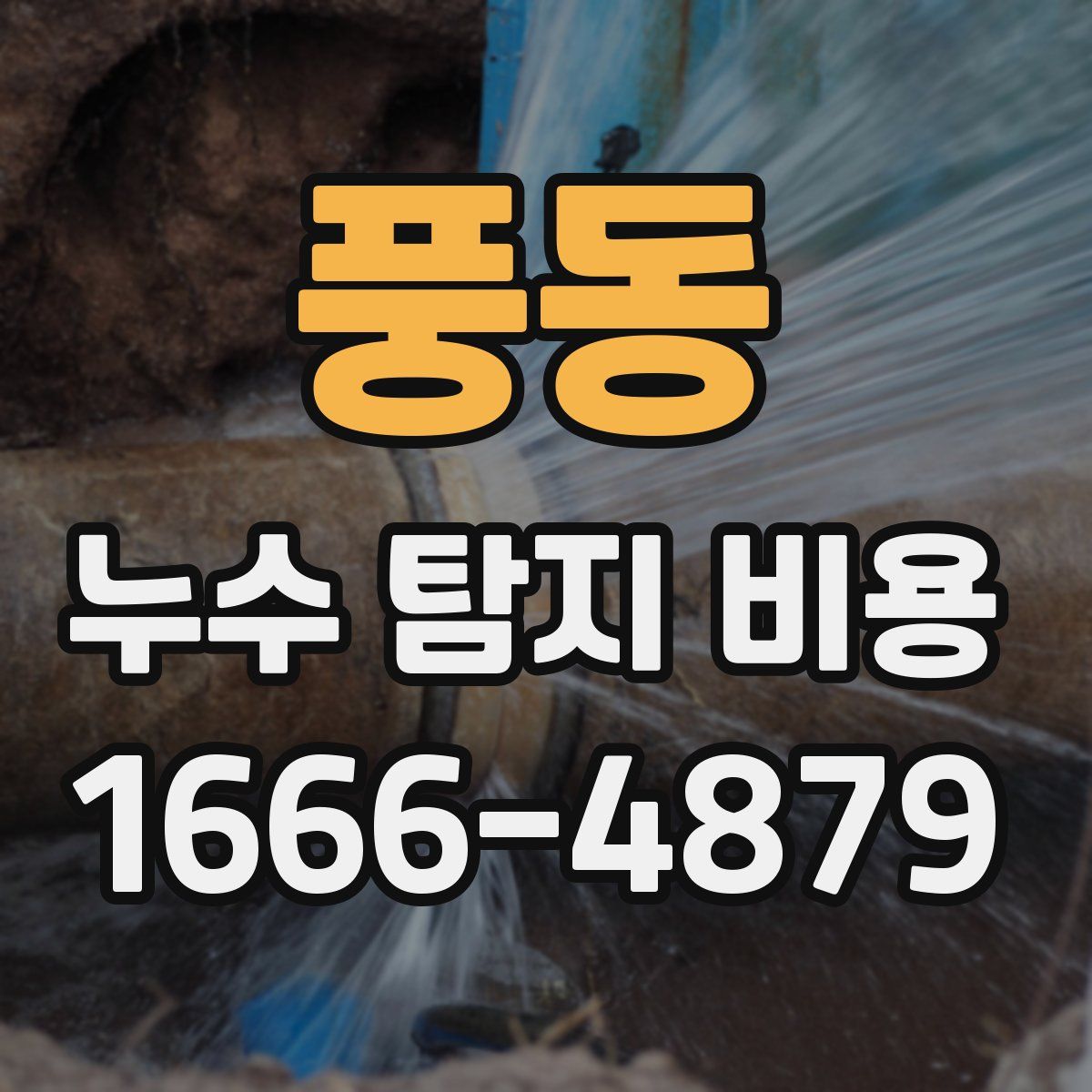 풍동 누수 탐지 비용