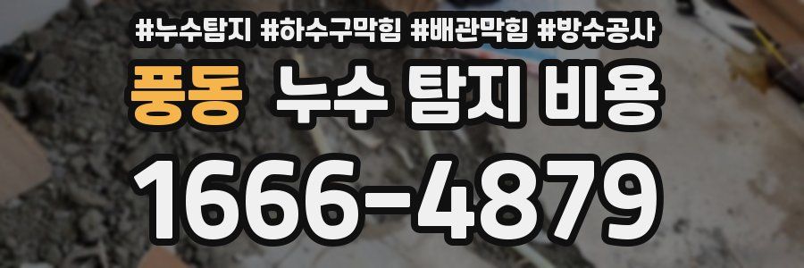 풍동 누수 탐지 비용