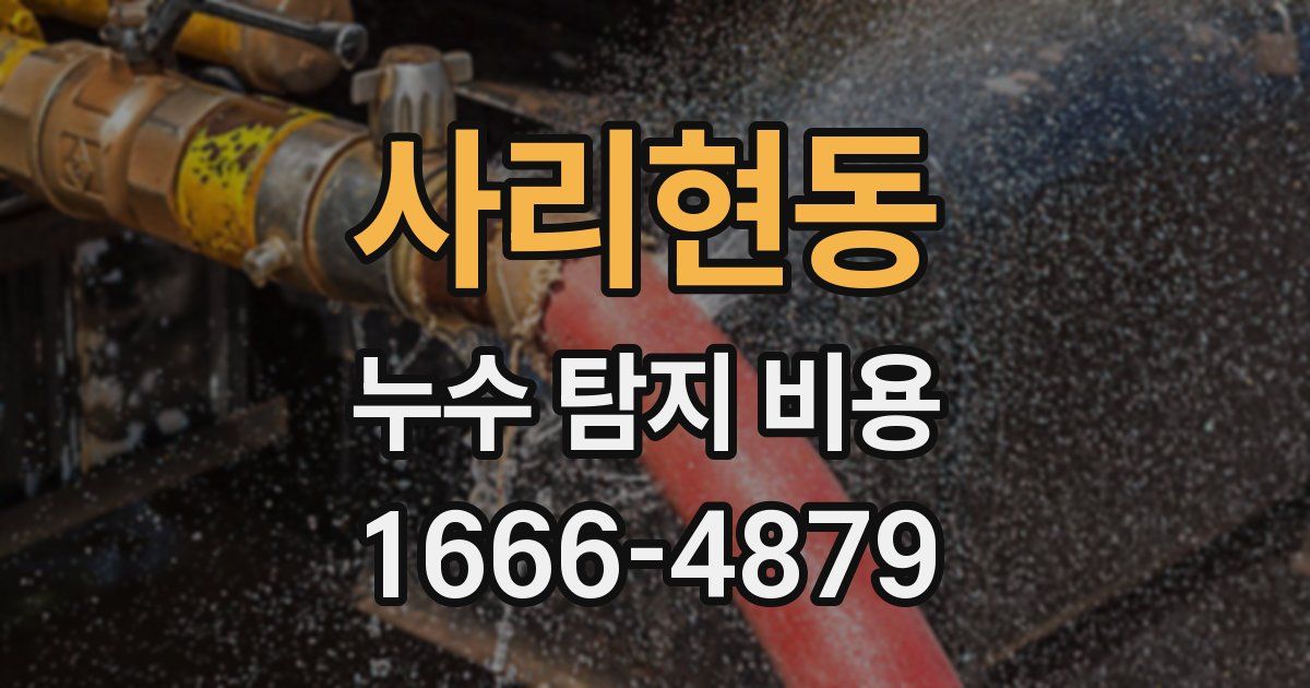 사리현동 누수 탐지 비용