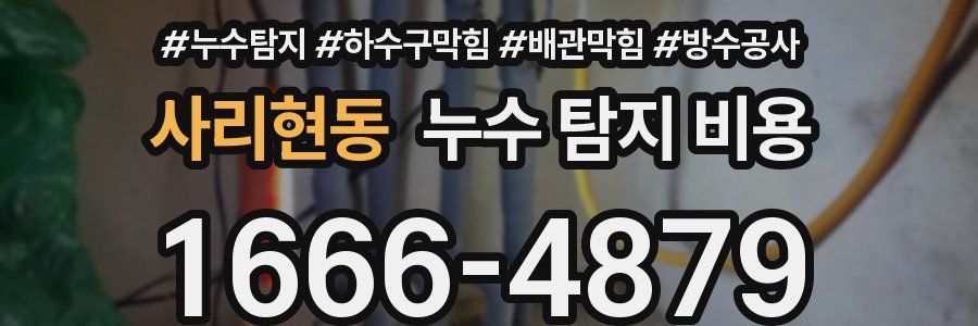 사리현동 누수 탐지 비용