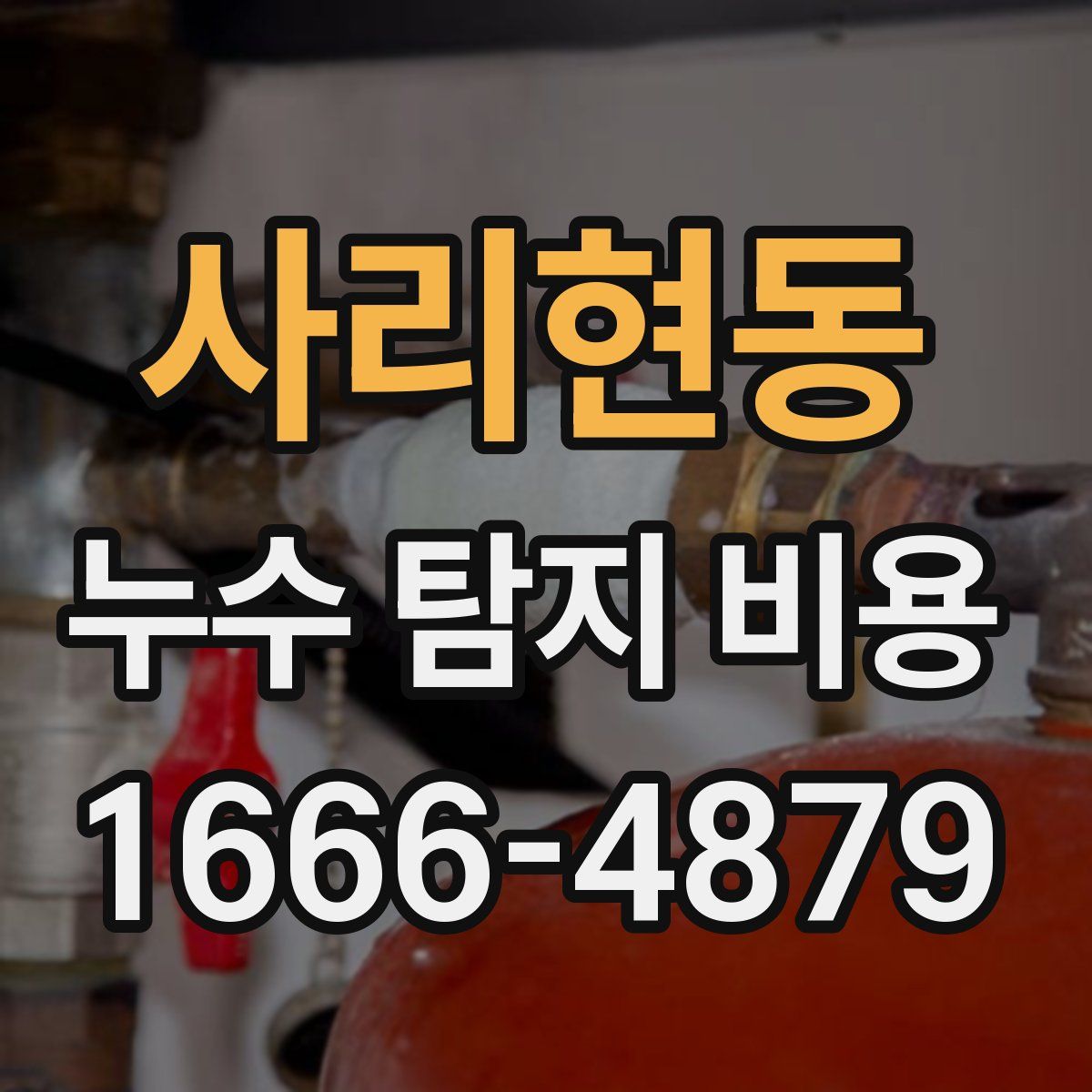 사리현동 누수 탐지 비용