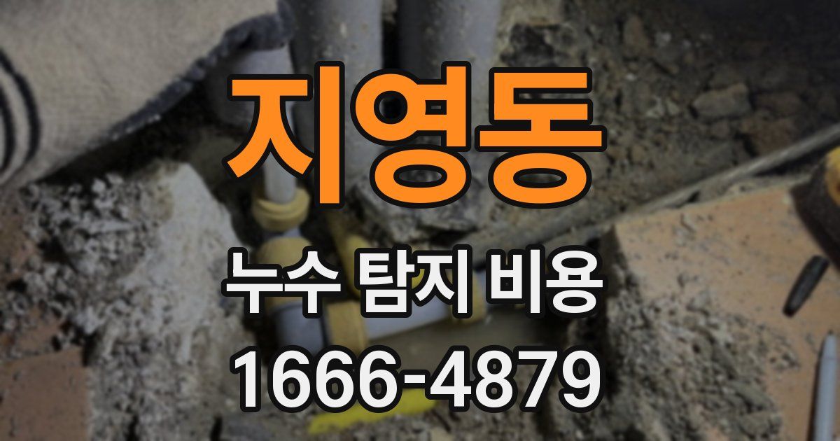 지영동 누수 탐지 비용