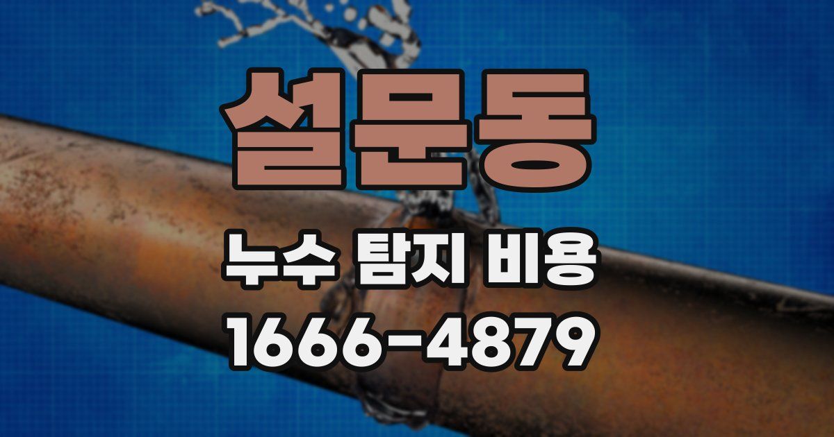 설문동 누수 탐지 비용