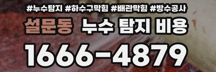 설문동 누수 탐지 비용