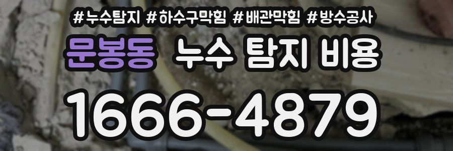 문봉동 누수 탐지 비용