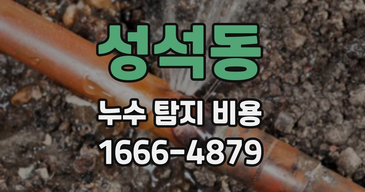 성석동 누수 탐지 비용