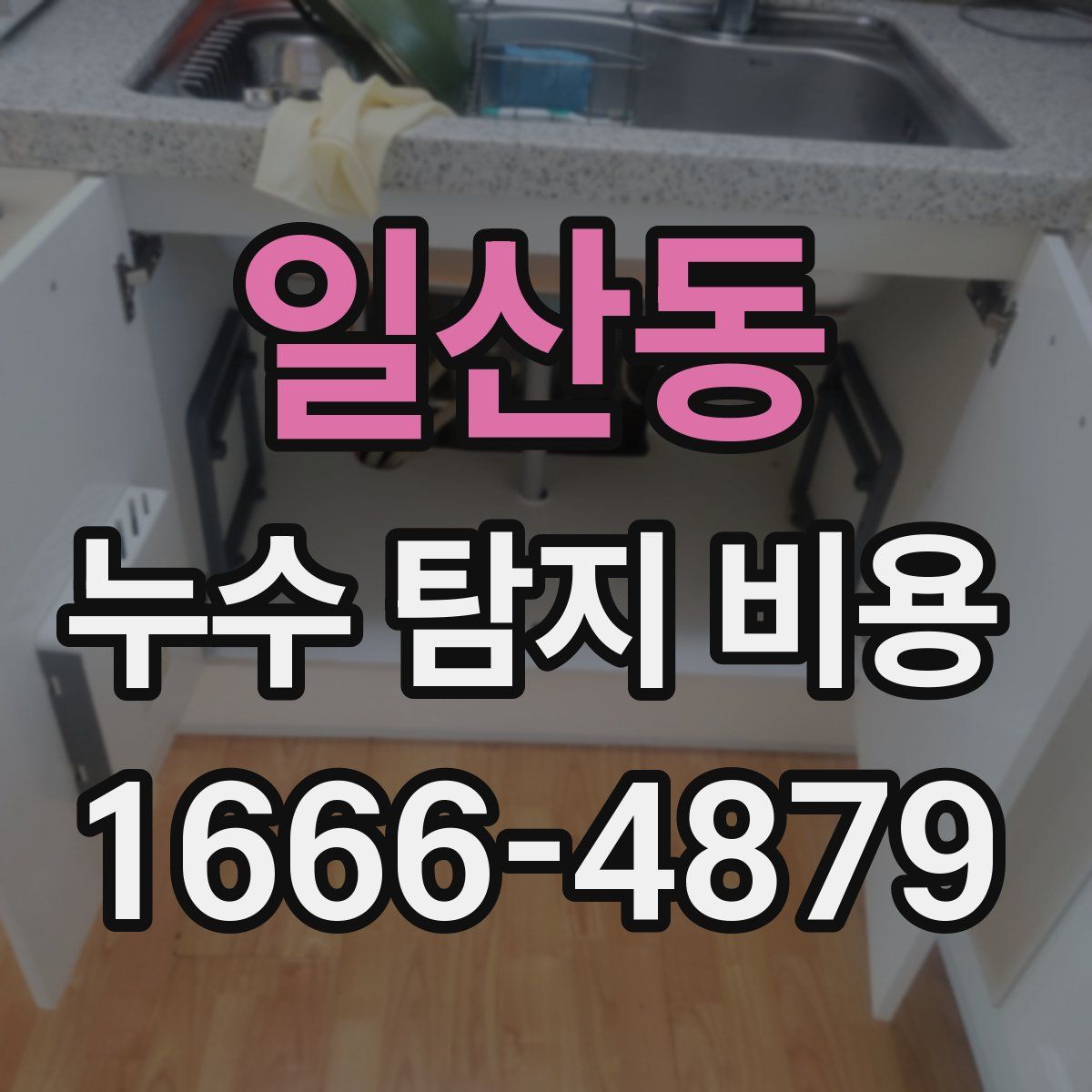 일산동 누수 탐지 비용
