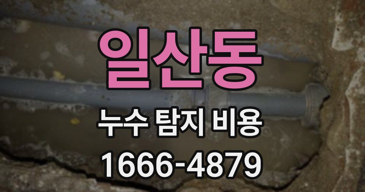 일산동 누수 탐지 비용