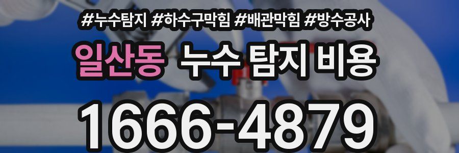일산동 누수 탐지 비용