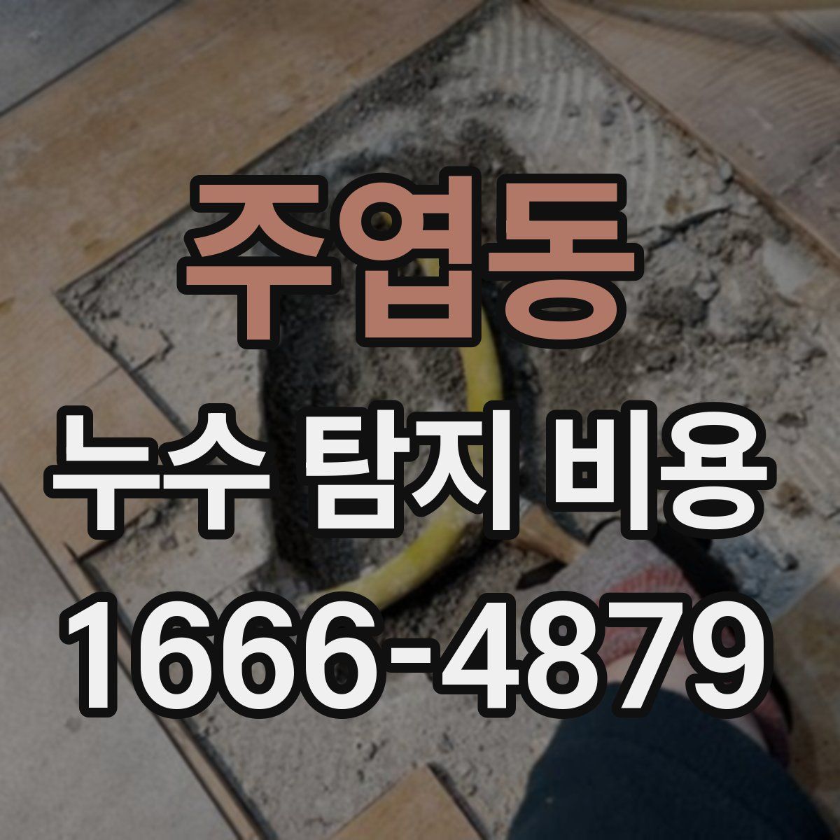 주엽동 누수 탐지 비용
