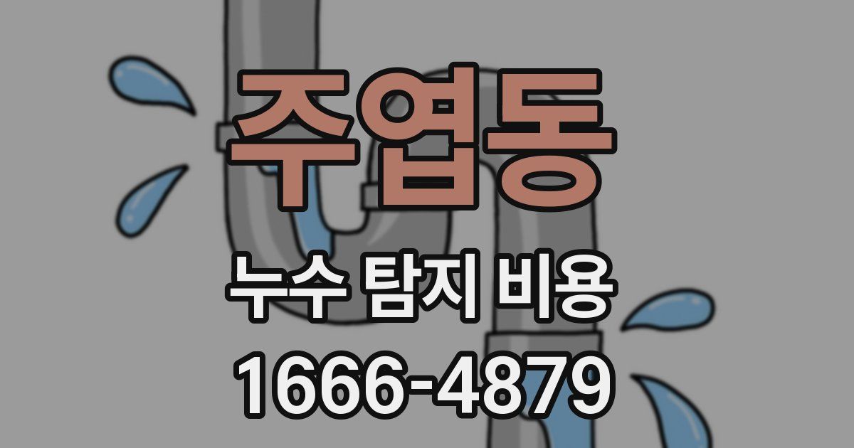 주엽동 누수 탐지 비용