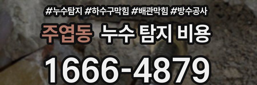 주엽동 누수 탐지 비용