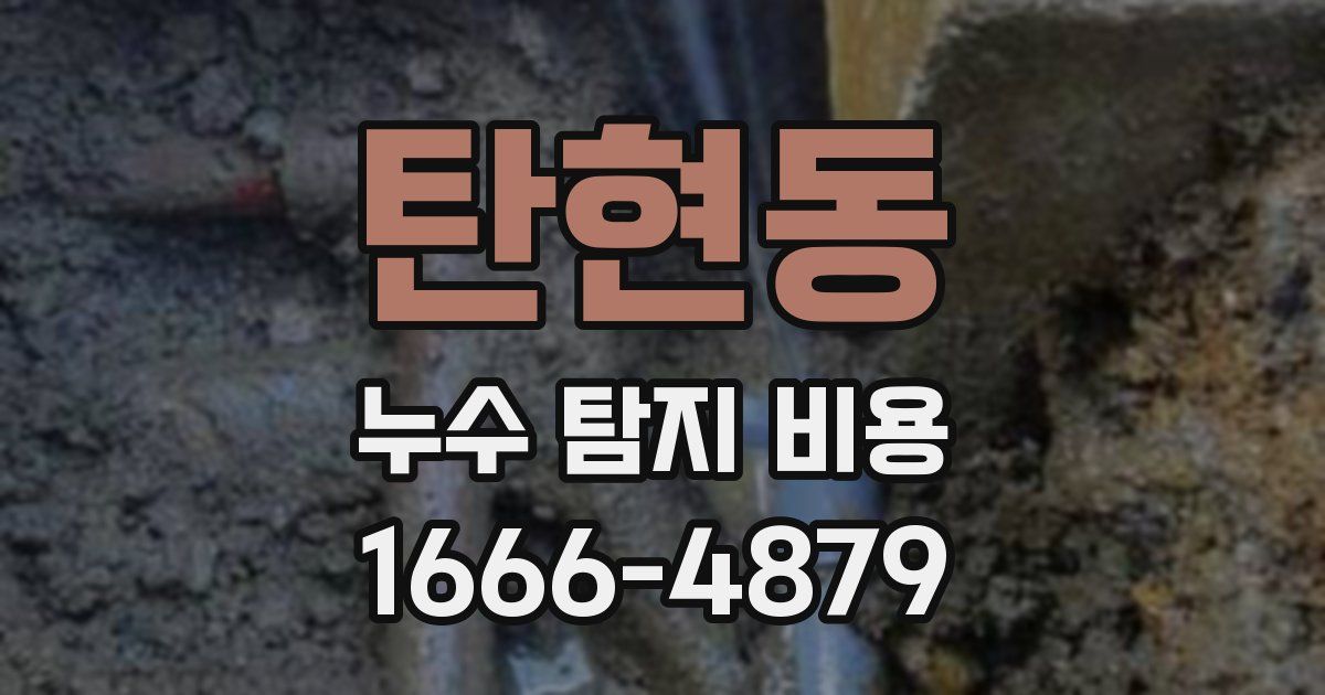 탄현동 누수 탐지 비용