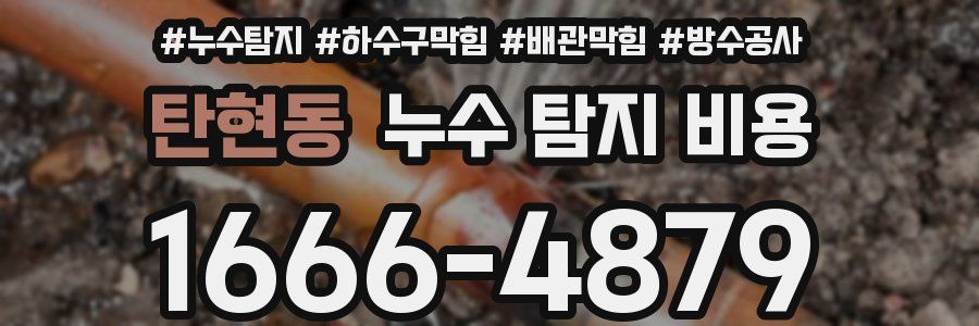탄현동 누수 탐지 비용