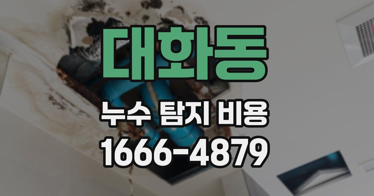 대화동 누수 탐지 비용