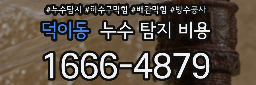 덕이동 누수 탐지 비용