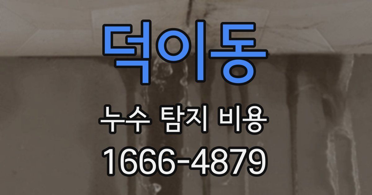 덕이동 누수 탐지 비용