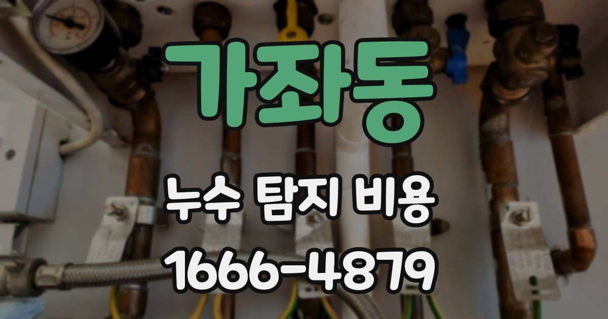 가좌동 누수 탐지 비용