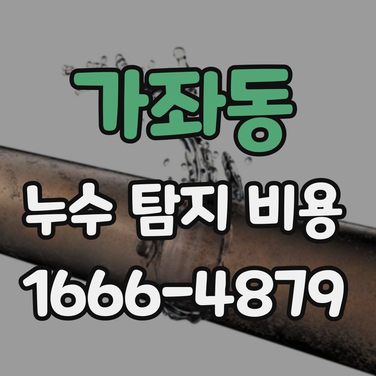 가좌동 누수 탐지 비용