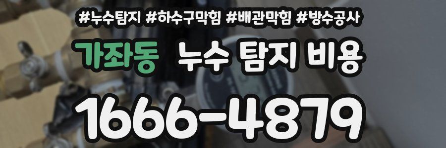 가좌동 누수 탐지 비용