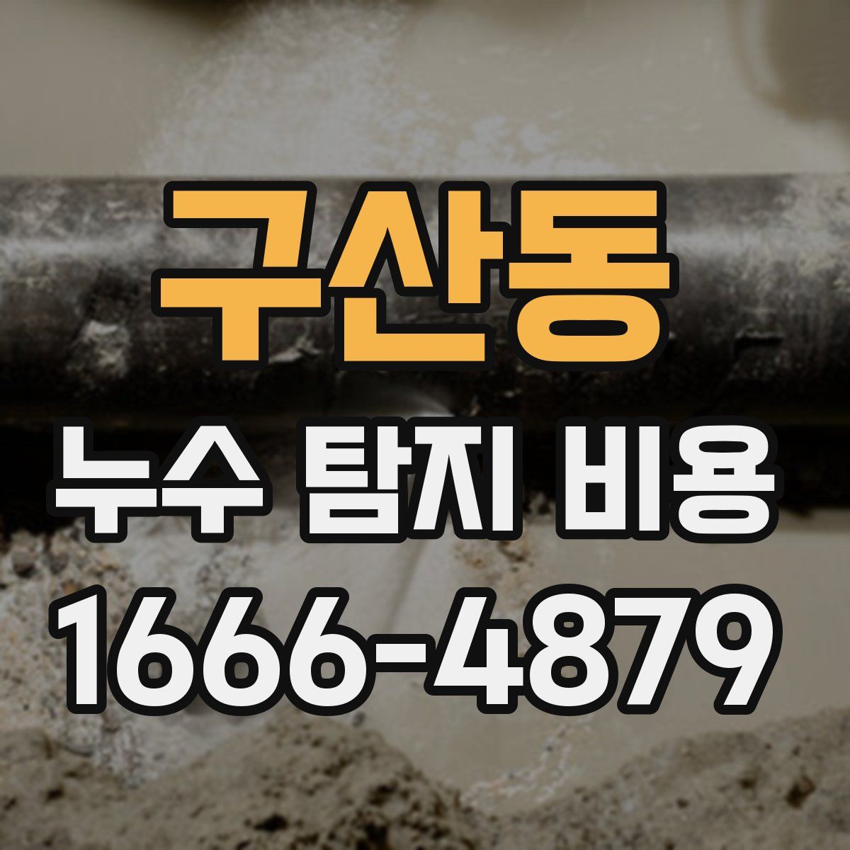 구산동 누수 탐지 비용