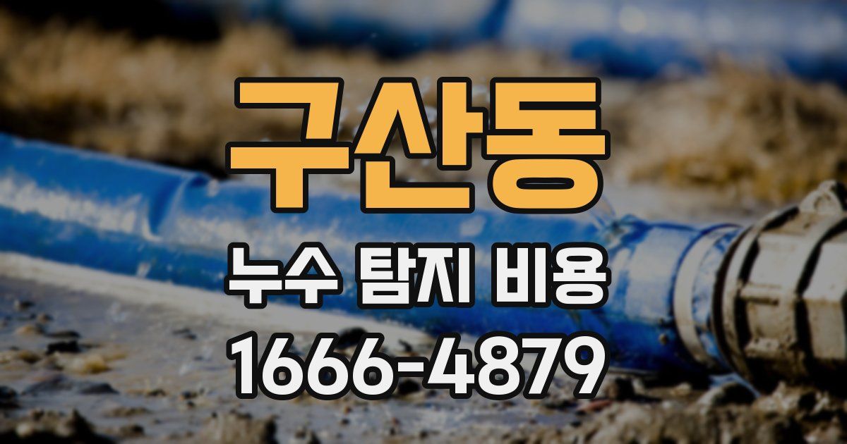 구산동 누수 탐지 비용