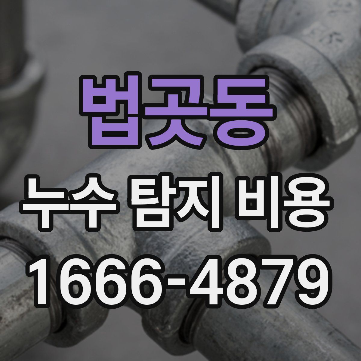 법곳동 누수 탐지 비용