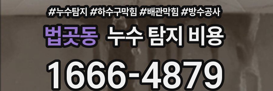 법곳동 누수 탐지 비용
