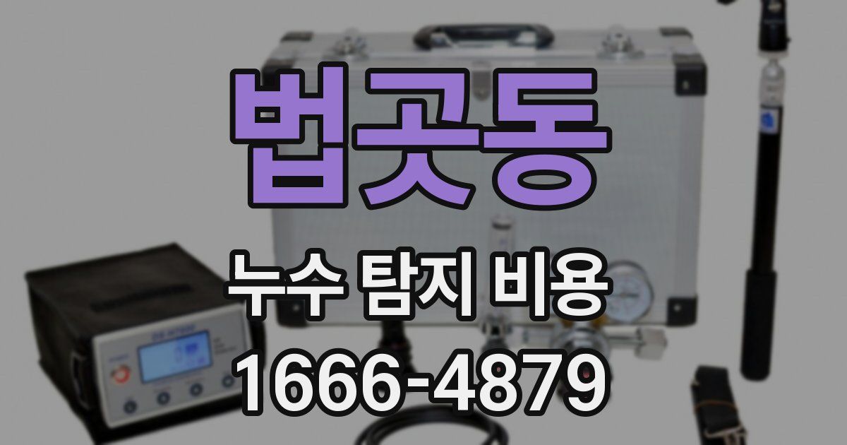법곳동 누수 탐지 비용