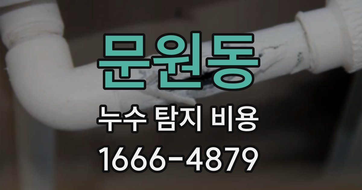문원동 누수 탐지 비용