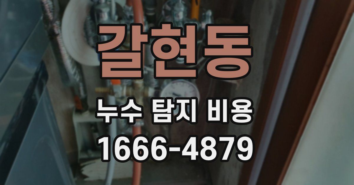 갈현동 누수 탐지 비용