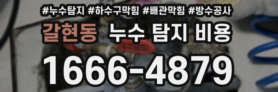갈현동 누수 탐지 비용