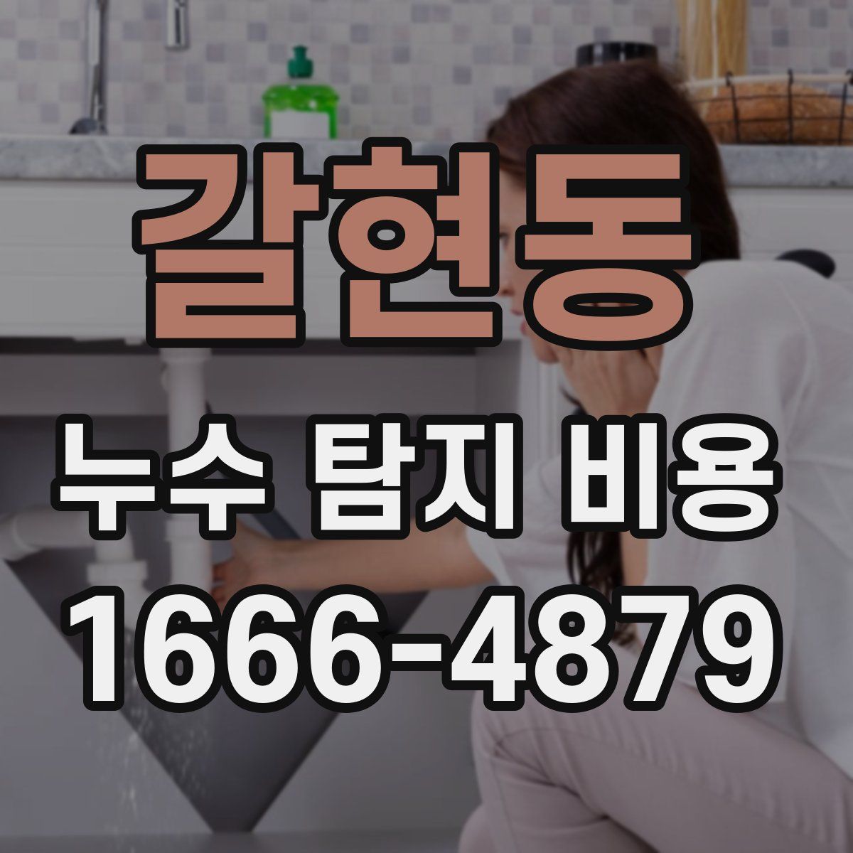갈현동 누수 탐지 비용
