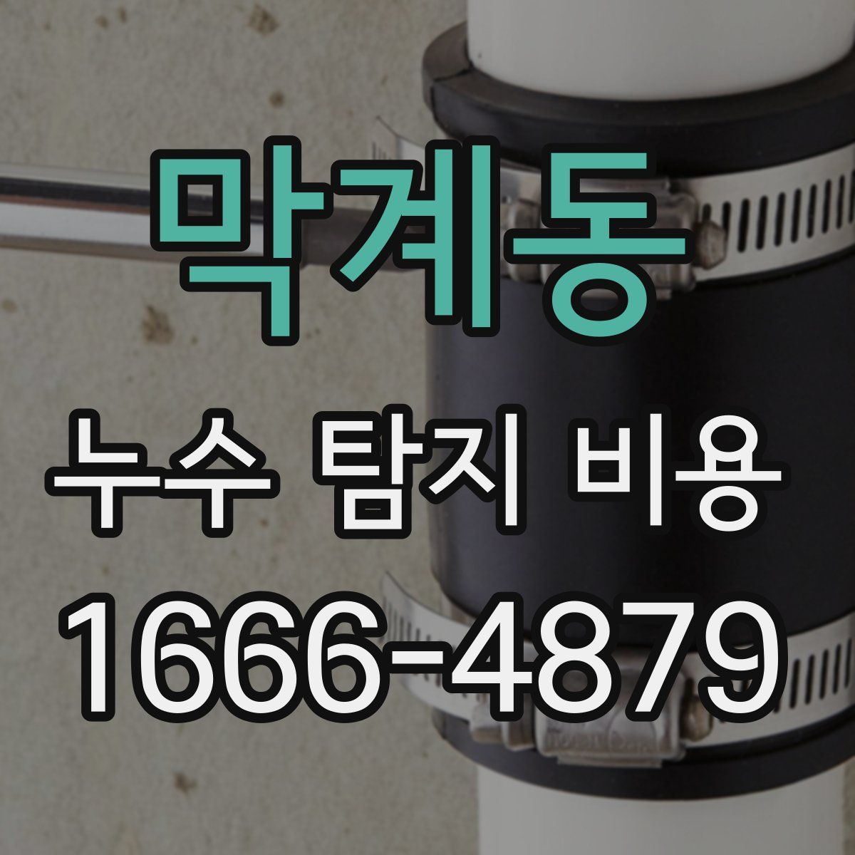 막계동 누수 탐지 비용