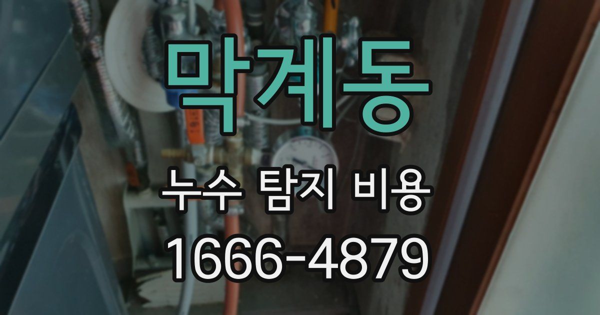 막계동 누수 탐지 비용