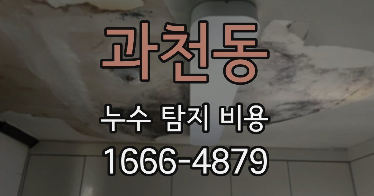 과천동 누수 탐지 비용