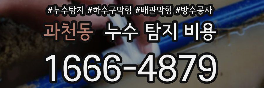 과천동 누수 탐지 비용
