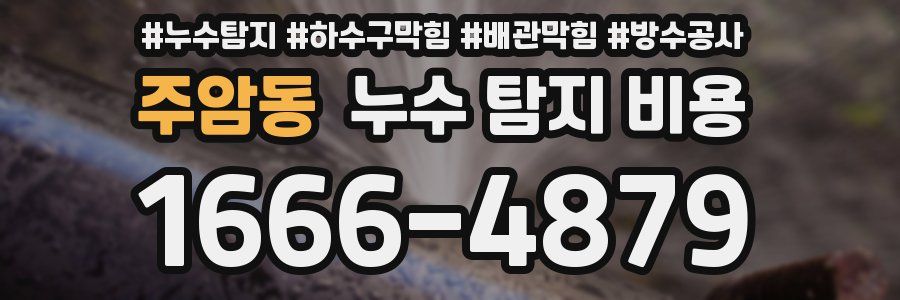 주암동 누수 탐지 비용