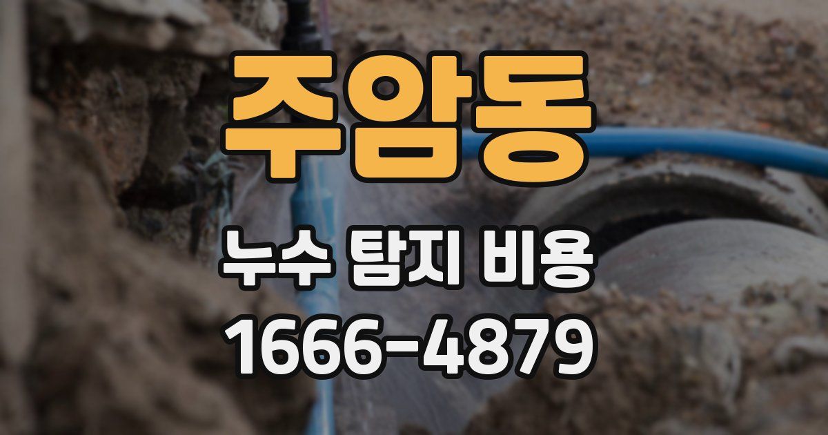 주암동 누수 탐지 비용