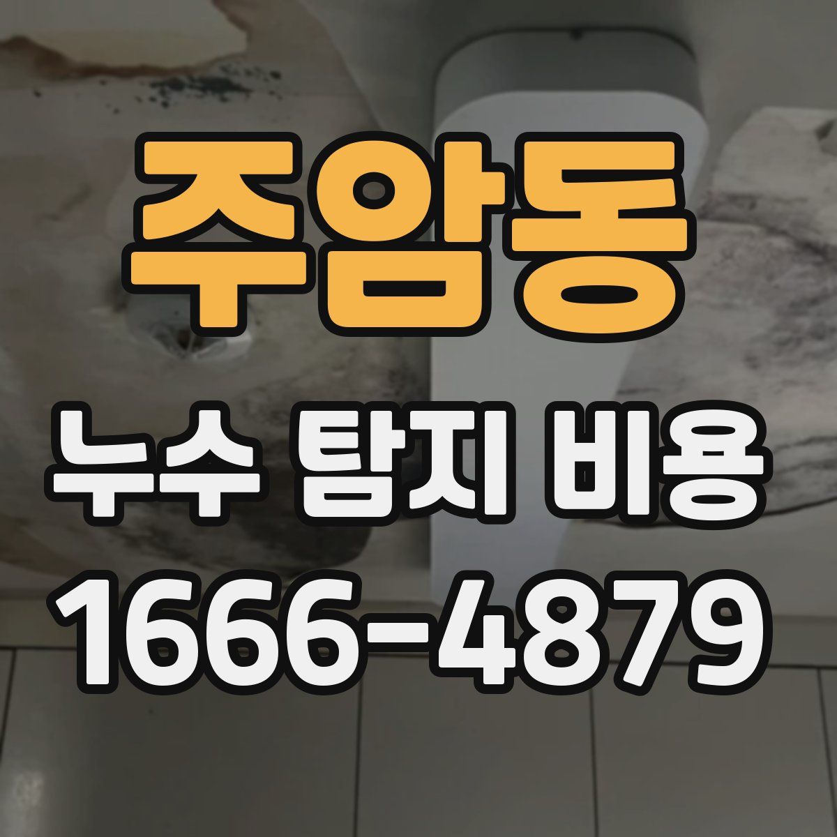 주암동 누수 탐지 비용